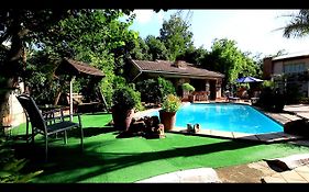 Blueberry Randjesfontein